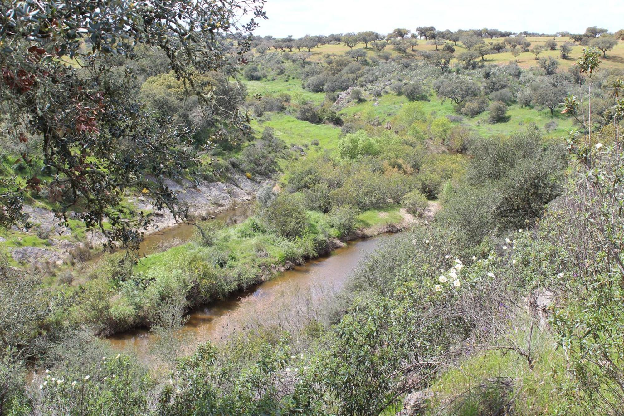 Agroturismo Xistos Cerca Esterno foto